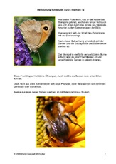Bestaeubung-von-Blueten-durch-Insekten-2.pdf